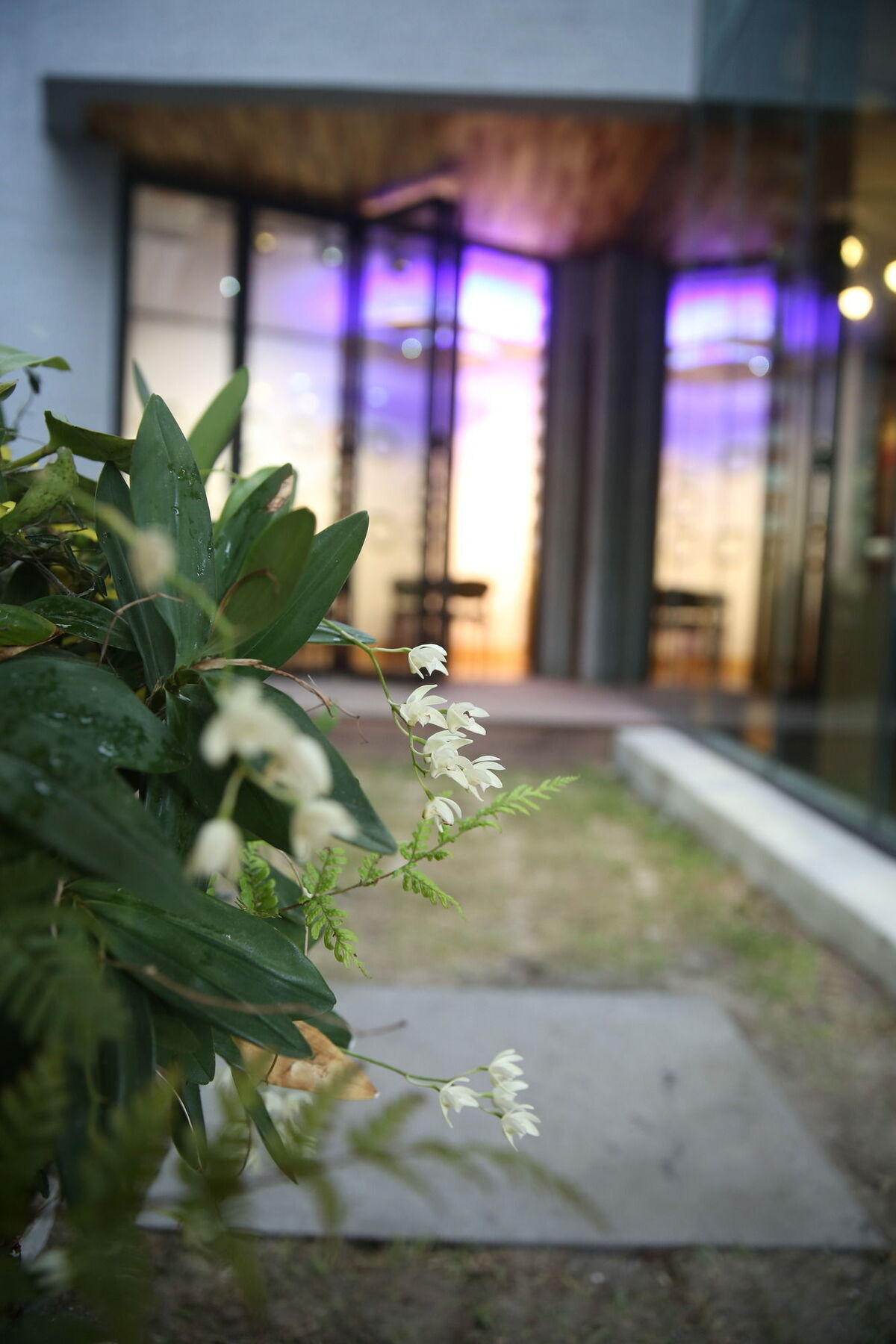 Sogondak House Villa Jeju Eksteriør billede